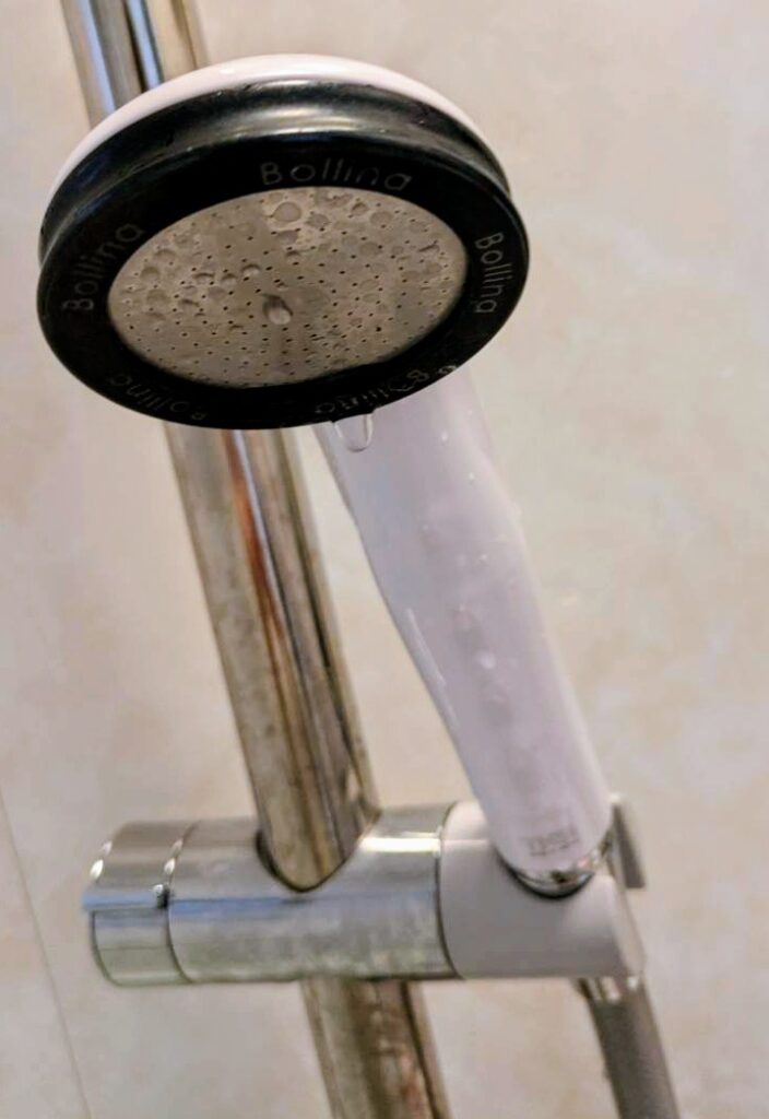 ボリーナワイドの画像