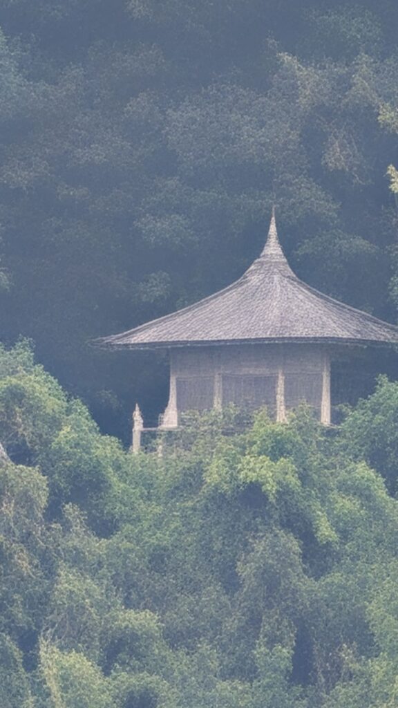 お寺の建物を100倍ズームで撮影した写真